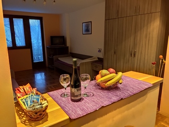 apartment niska banja